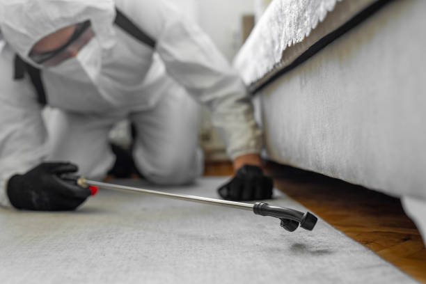 Professional Termite Control technician working in Riviera Beach, MD
