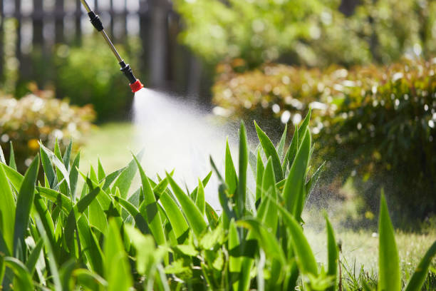 24/7 Emergency Termite Control experts in Riviera Beach, MD