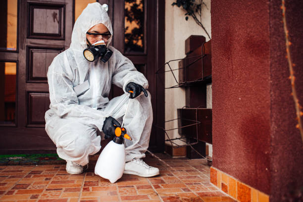 Reliable Termite Control contractor in Riviera Beach, MD by Nex Pest Control